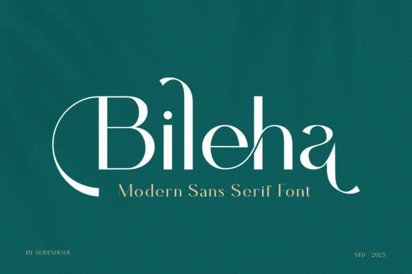 Bileha: A Font for Clear Campaigns