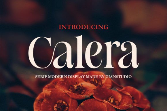 Calera: The Serif Font That Elevates Campaign Design