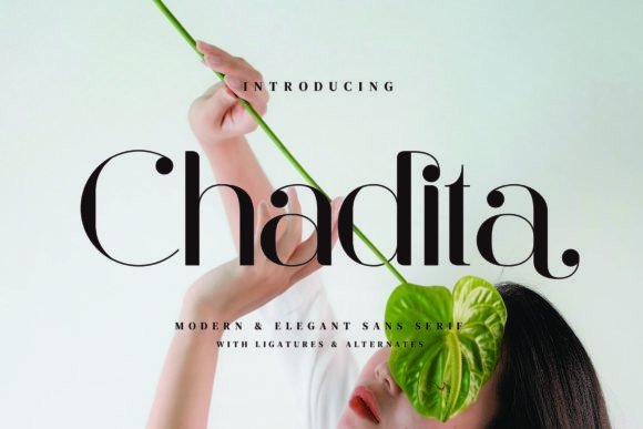 Chadita: A Minimalist Serif Font for Modern Web Design