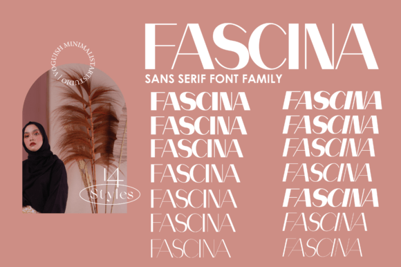 Fascina Font Review: Elevating Campaign Visuals with Style