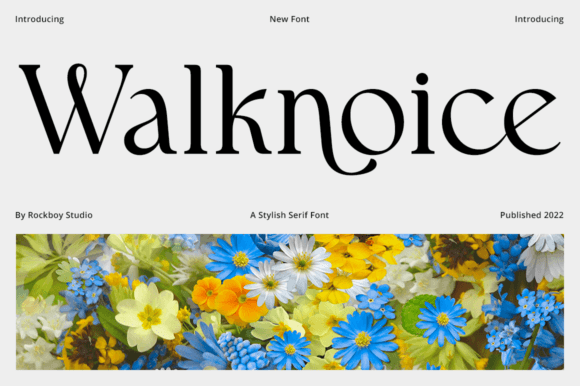 Walknoice Review: A Serif Built for Bold Brand Identity