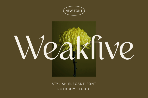 Weakfive: A Stylish Serif Font for Digital Marketing